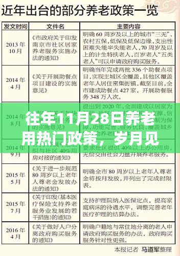 历年11月28日养老政策回顾，岁月见证政策变迁与影响