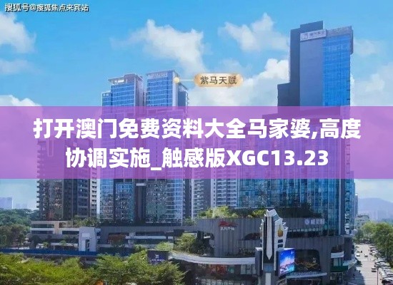 打开澳门免费资料大全马家婆,高度协调实施_触感版XGC13.23