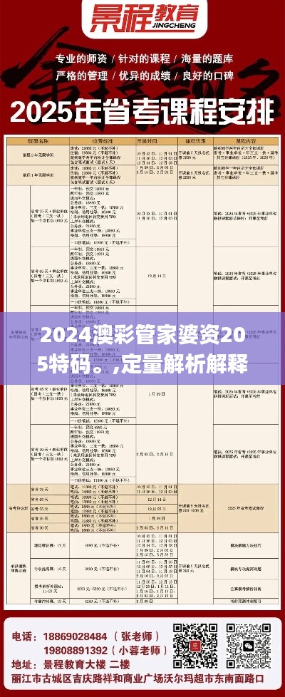 2024澳彩管家婆资205特码。,定量解析解释法_结合版SJX13.13