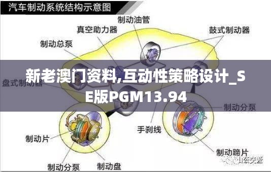 新老澳门资料,互动性策略设计_SE版PGM13.94