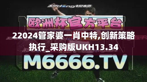 22024管家婆一肖中特,创新策略执行_采购版UKH13.34