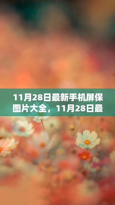 最新手机屏保图片大全，深度评测与介绍，11月28日更新