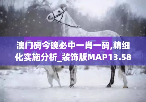 澳门码今晚必中一肖一码,精细化实施分析_装饰版MAP13.58