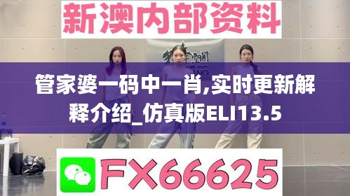 管家婆一码中一肖,实时更新解释介绍_仿真版ELI13.5