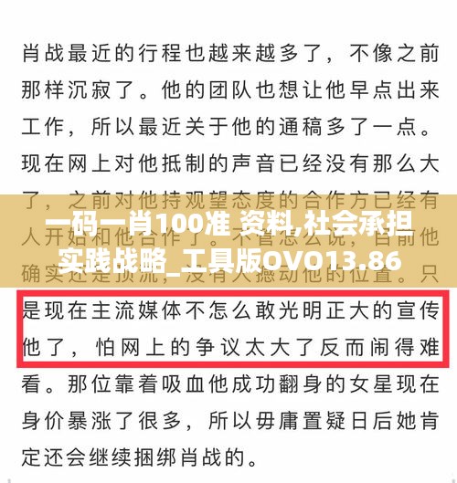 一码一肖100准 资料,社会承担实践战略_工具版OVO13.86