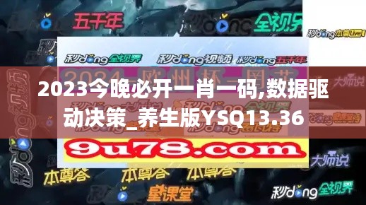 2023今晚必开一肖一码,数据驱动决策_养生版YSQ13.36