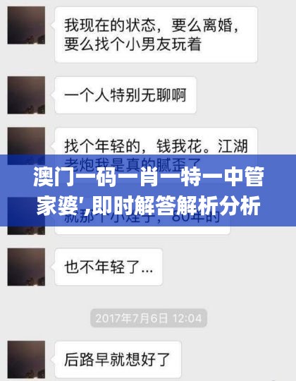 澳门一码一肖一特一中管家婆′,即时解答解析分析_仿真版TOS13.34