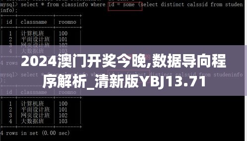 2024澳门开奖今晚,数据导向程序解析_清新版YBJ13.71