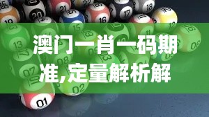 澳门一肖一码期准,定量解析解释法_精选版APB13.24