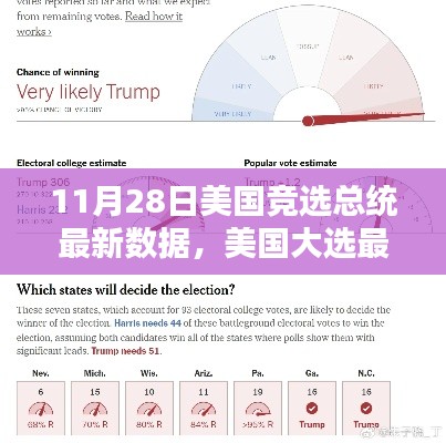 美国大选最新动态，11月28日总统选举数据分析与指南