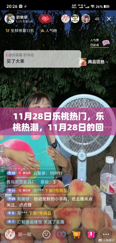 乐桃热潮回顾，11月28日的热门事件与影响