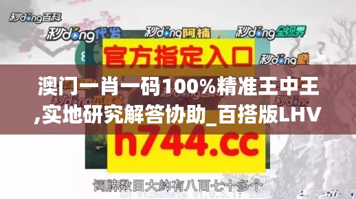 澳门一肖一码100%精准王中王,实地研究解答协助_百搭版LHV13.16