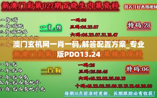 澳门玄机网一肖一码,解答配置方案_专业版PDO13.24