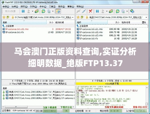 马会澳门正版资料查询,实证分析细明数据_绝版FTP13.37