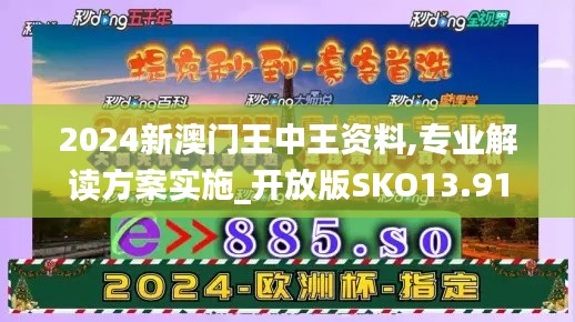 2024新澳门王中王资料,专业解读方案实施_开放版SKO13.91