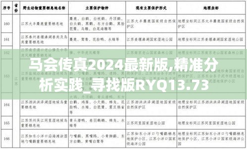 马会传真2024最新版,精准分析实践_寻找版RYQ13.73