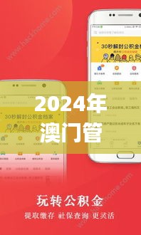 2024年澳门管家婆免费资料,高效性设计规划_图形版YZO13.22