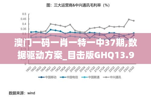 澳门一码一肖一特一中37期,数据驱动方案_目击版GHQ13.99