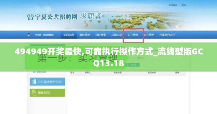 494949开奖最快,可靠执行操作方式_流线型版GCQ13.18