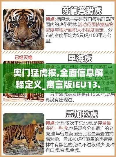 奥门猛虎报,全面信息解释定义_寓言版IEU13.4