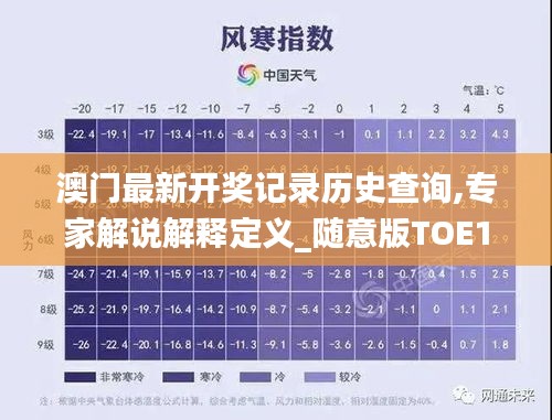 澳门最新开奖记录历史查询,专家解说解释定义_随意版TOE13.10