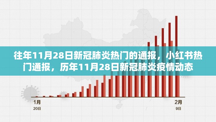 历年11月28日新冠肺炎通报与小红书热门动态概览