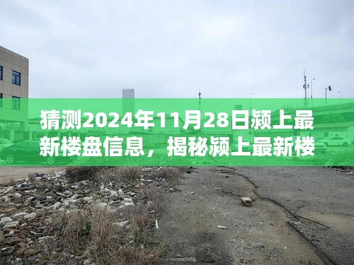 揭秘颍上最新楼盘动态，预测未来精彩绽放，独家解读2024年11月28日楼盘信息速递