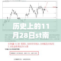 历史上的11月28日ST南纸最新消息，全面评测与深度分析报道