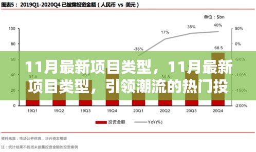 11月最新项目类型概览，引领潮流的热门投资领域