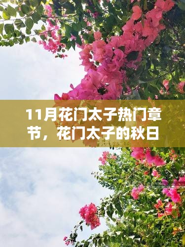 花门太子秋日温情，十一月里的友谊绽放