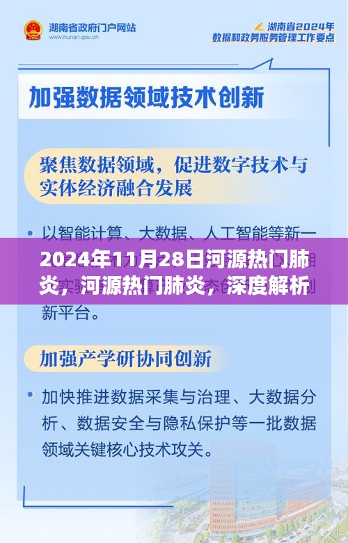 河源热门肺炎深度解析与观点阐述，2024年11月28日最新动态