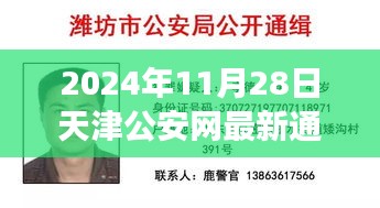 天津公安网最新通缉令下的内心绿洲探寻，寻找宁静的自然之旅