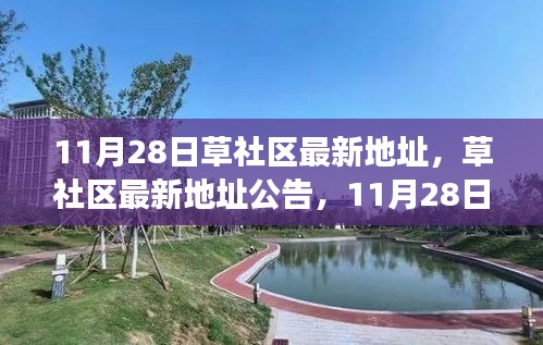 11月28日草社区最新地址公告，变迁与探索之旅