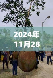 探秘敬登峰美食天堂，小巷深处的独特风味在2024年11月28日绽放光彩！