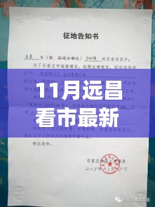 揭秘最新市场动态，11月远昌看市资讯全面解析指南