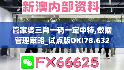 管家婆三肖一码一定中特,数据管理策略_试点版OKI78.632