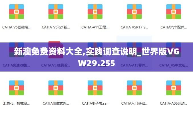 新澳免费资料大全,实践调查说明_世界版VGW29.255