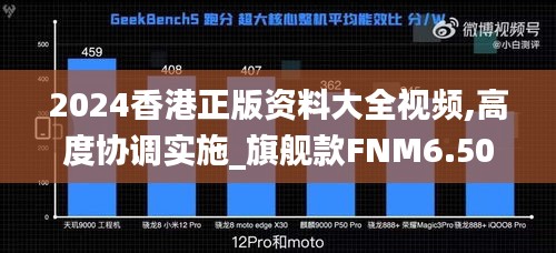 2024香港正版资料大全视频,高度协调实施_旗舰款FNM6.501