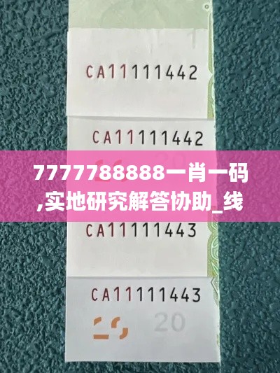 7777788888一肖一码,实地研究解答协助_线上版TCT69.703