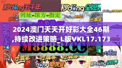 2024澳门天天开好彩大全46期,持续改进策略_L版VKL17.173