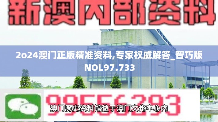 2o24澳门正版精准资料,专家权威解答_智巧版NOL97.733