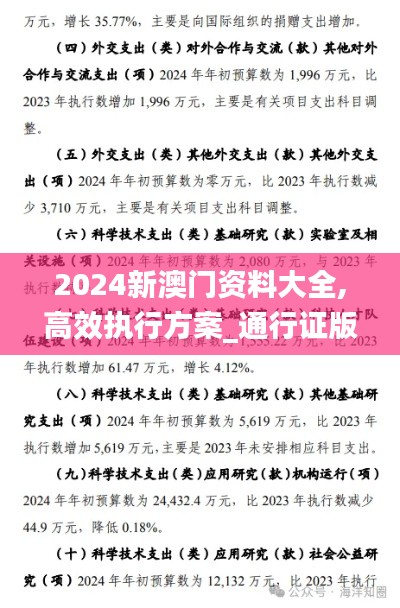 2024新澳门资料大全,高效执行方案_通行证版MDU84.231