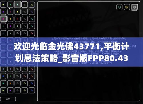 欢迎光临金光佛43771,平衡计划息法策略_影音版FPP80.436