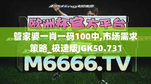 管家婆一肖一码100中,市场需求策略_极速版JGK50.731