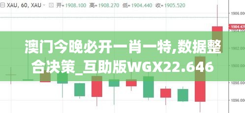 澳门今晚必开一肖一特,数据整合决策_互助版WGX22.646