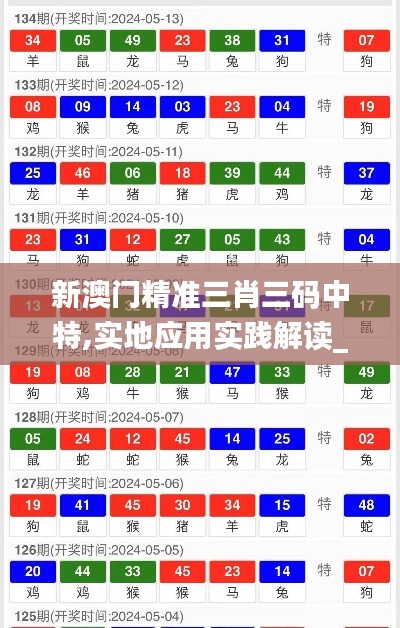 新澳门精准三肖三码中特,实地应用实践解读_轻量版BJL35.192