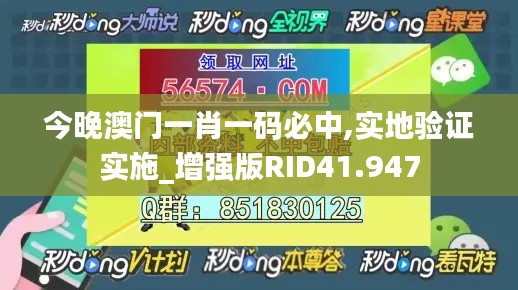 今晚澳门一肖一码必中,实地验证实施_增强版RID41.947