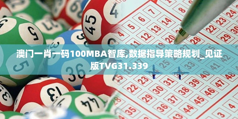 澳门一肖一码100MBA智库,数据指导策略规划_见证版TVG31.339