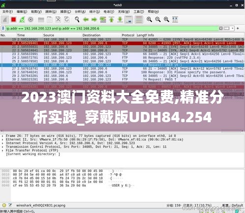 2023澳门资料大全免费,精准分析实践_穿戴版UDH84.254