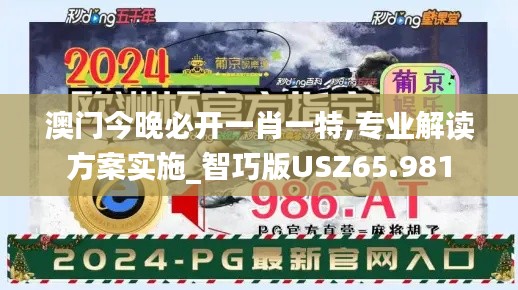 澳门今晚必开一肖一特,专业解读方案实施_智巧版USZ65.981